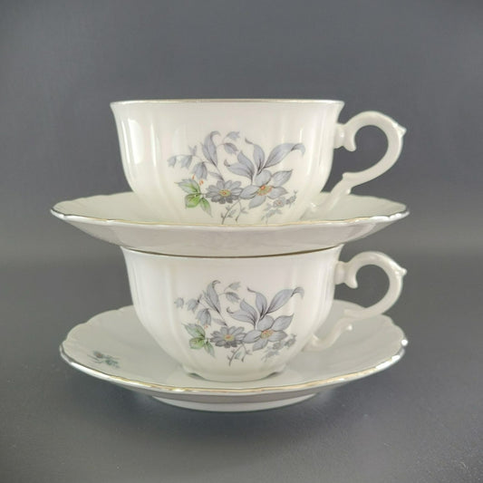 Bohemian China Wild Flower Teacup & Saucer, 2 Sets, Made in Czechoslovakia