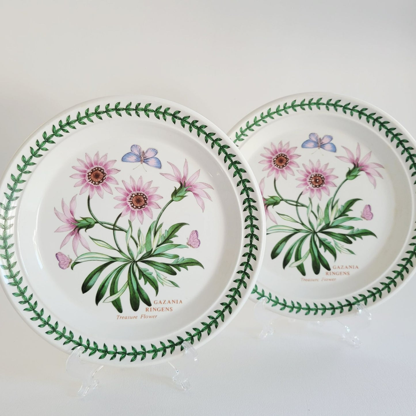 Portmeirion Botanic Garden Treasure Flower Salad Plate, Set of 2