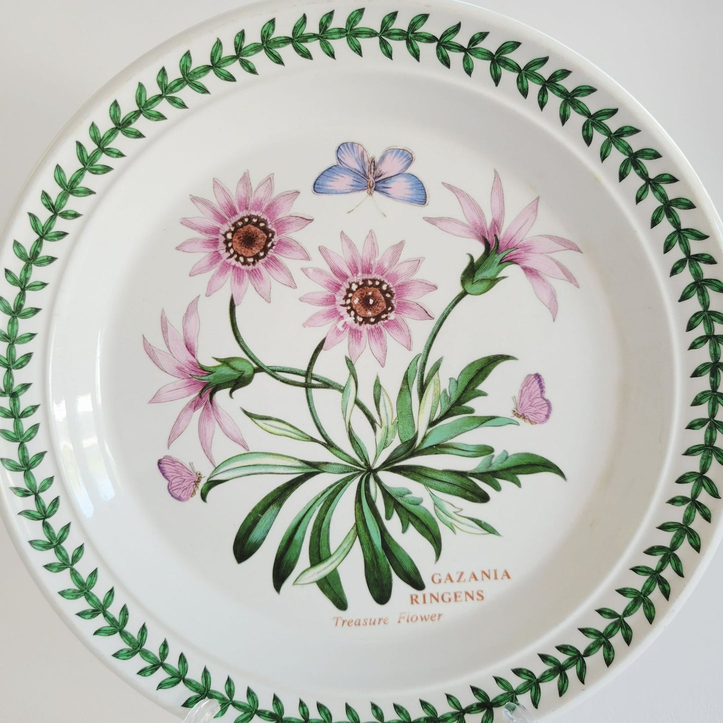 Portmeirion Botanic Garden Treasure Flower Salad Plate, Set of 2