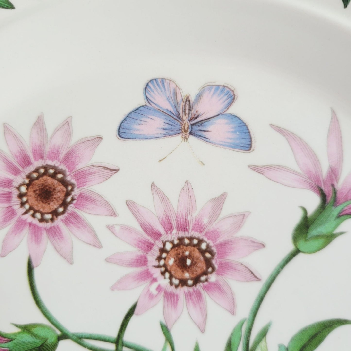 Portmeirion Botanic Garden Treasure Flower Salad Plate, Set of 2