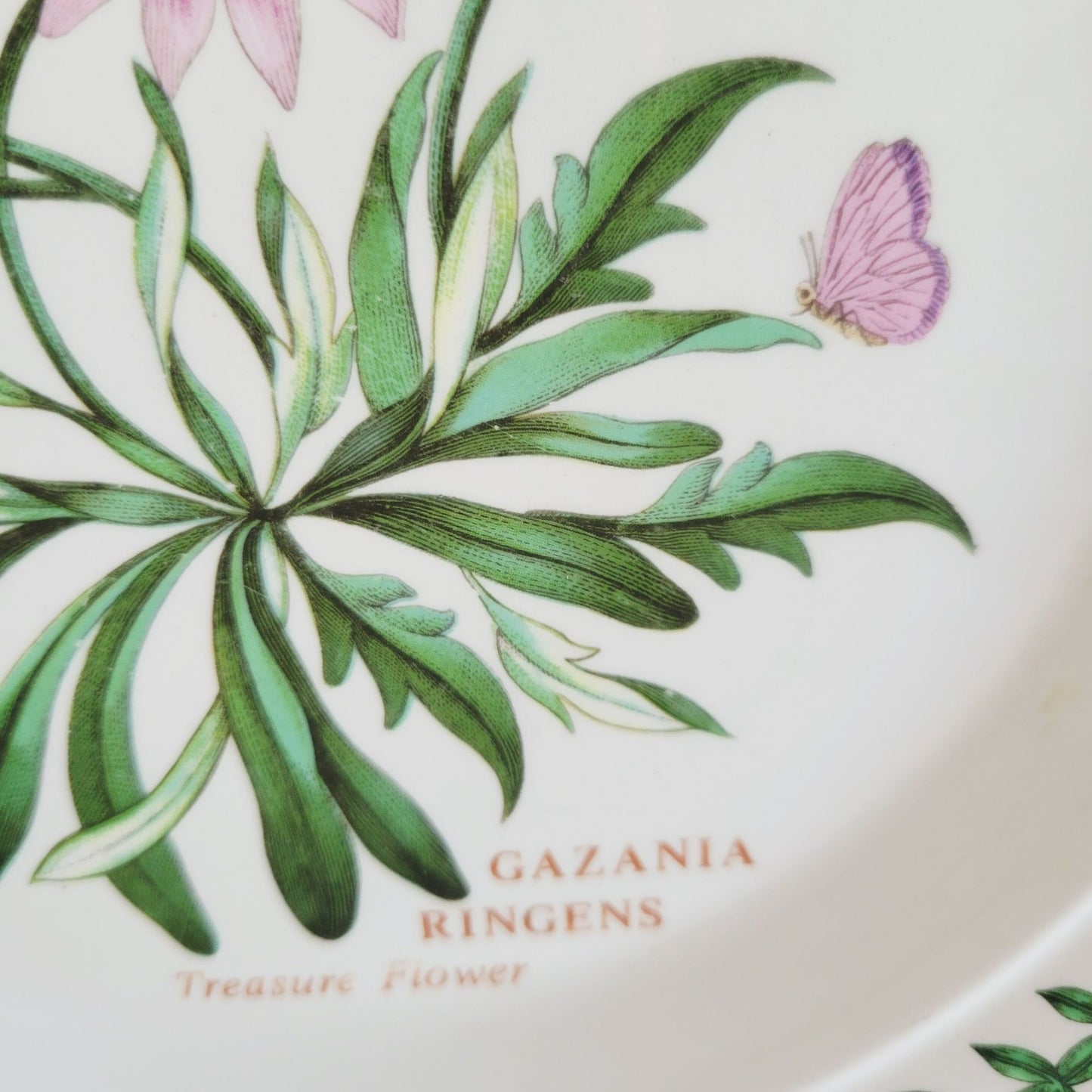 Portmeirion Botanic Garden Treasure Flower Salad Plate, Set of 2