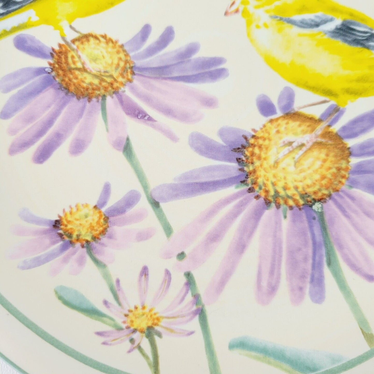 Lenox Summer Greetings Stoneware Salad Plate, Goldfinch Bird Design
