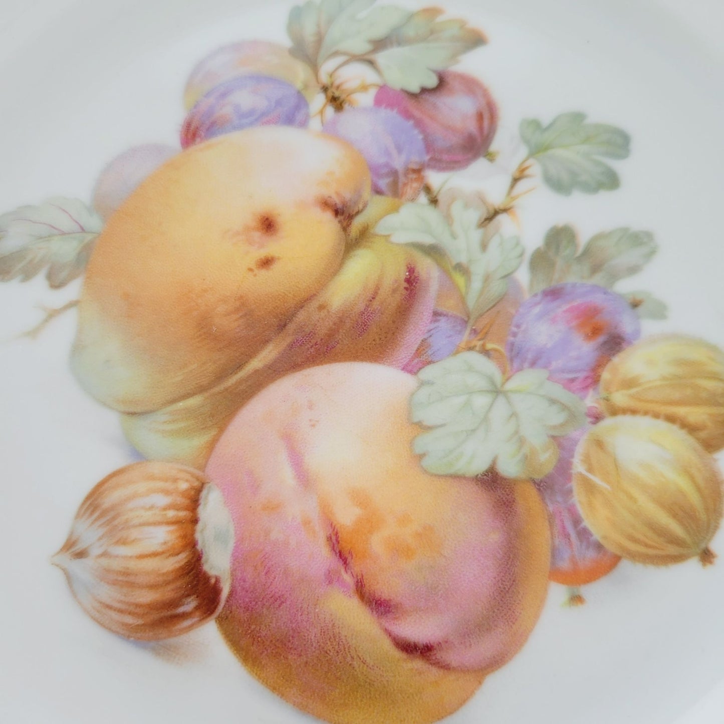 Schumann Fruit Design Salad Plate Set of 2, Embossed Edge, Made in Germany
