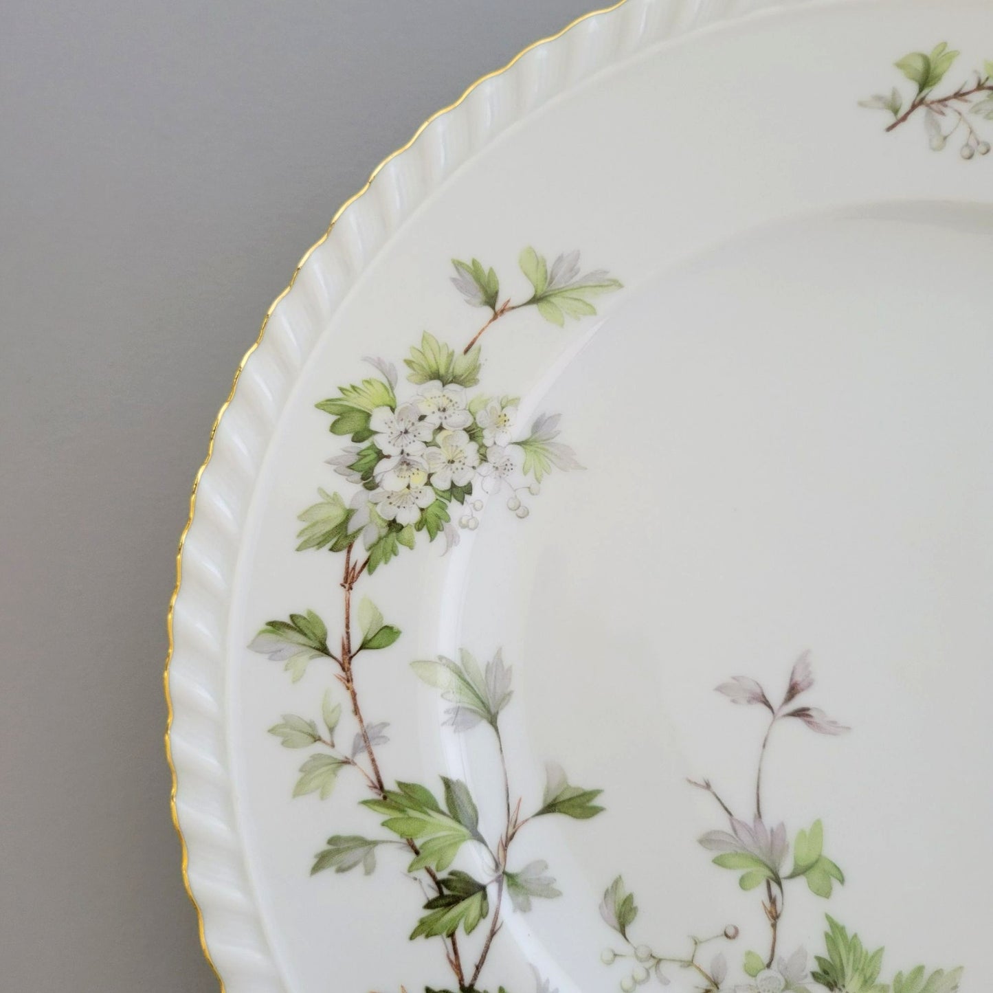 Franconia K&A Krautheim Hawthorn Dinner Plate, Gadroon Border, c.1964-75 Germany