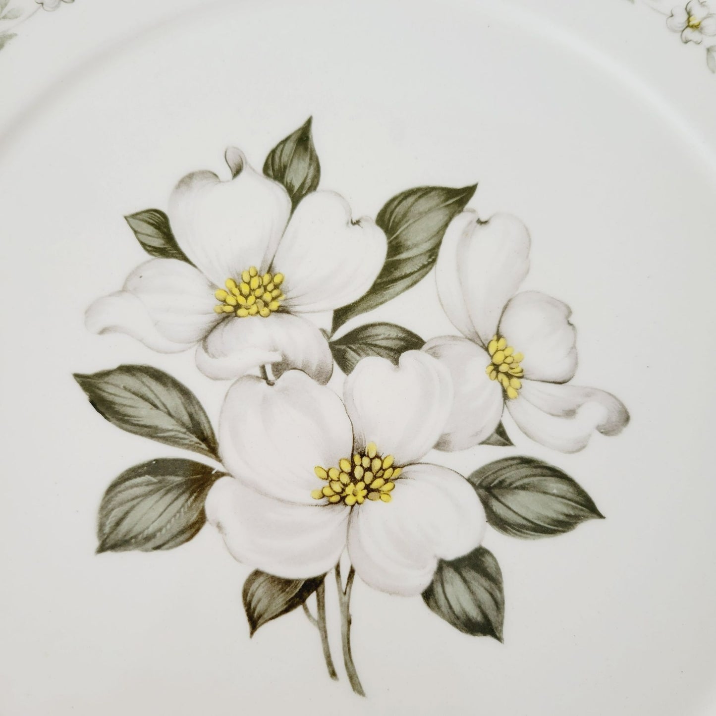 Steubenville Monticello Dinner Plate, c.1940s USA