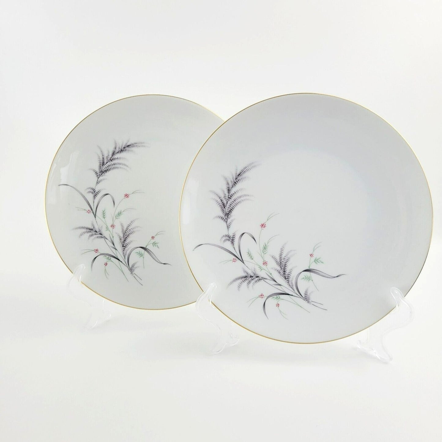 Rosenthal Thomas Wheat Luncheon Plate, Set of 2
