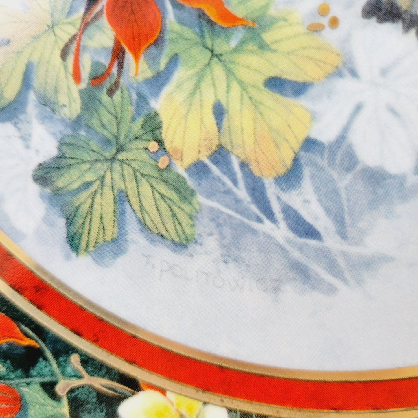 Royal Doulton Hummingbird Plate, The Rufous Hummingbird, Franklin Mint Heirloom Bird Collectors Plate
