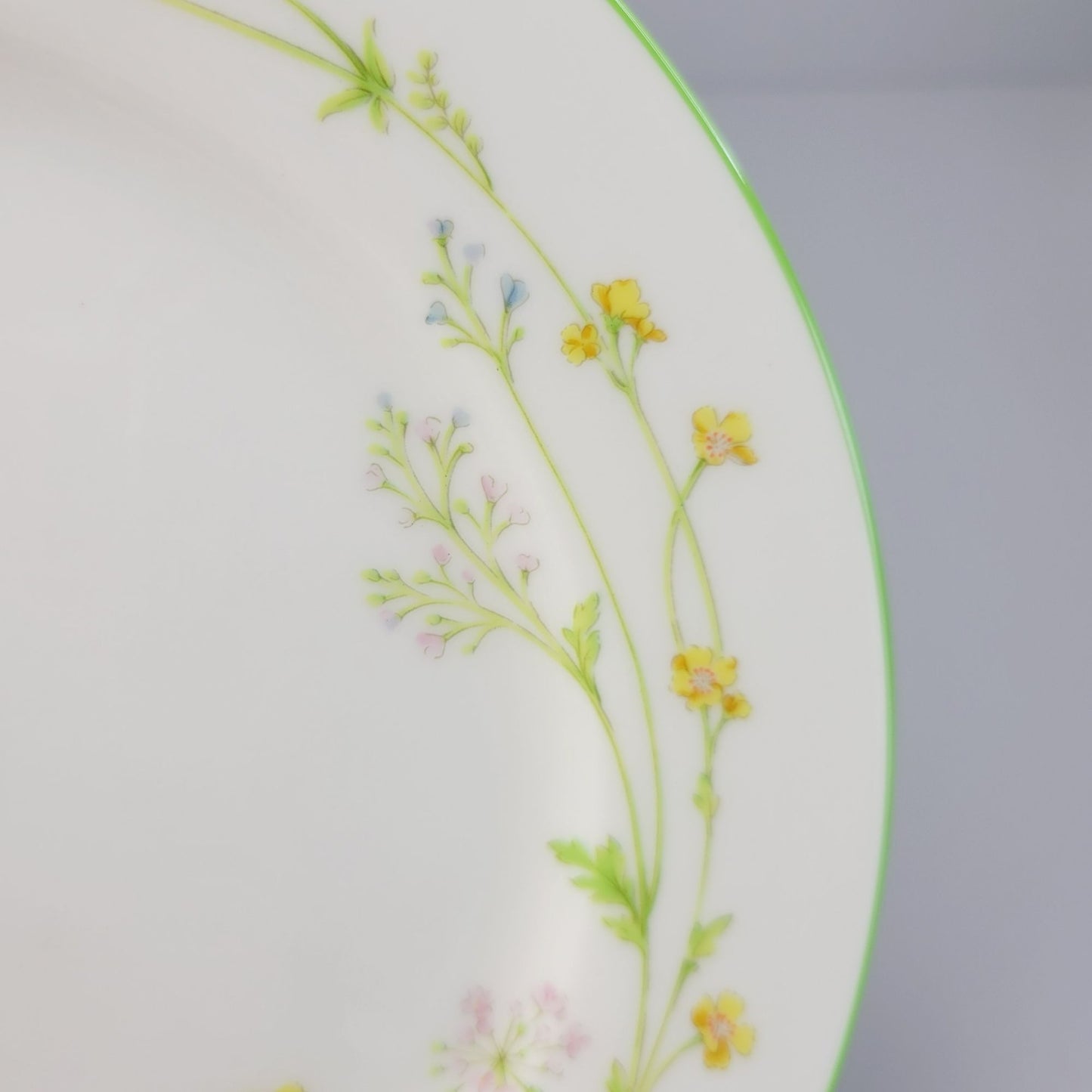 Noritake Reverie Salad Plate, Set of 2, Green Trim