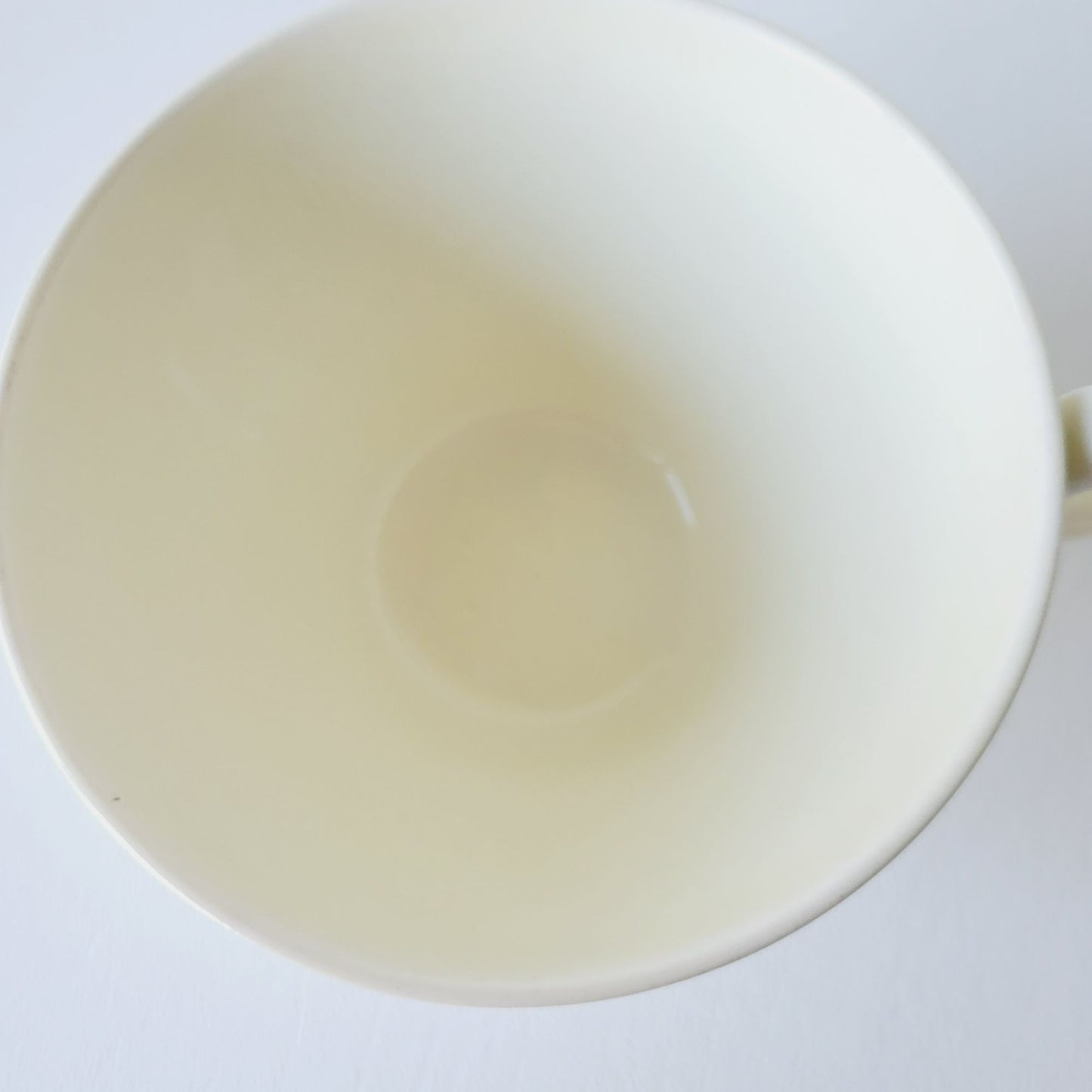 Wedgwood Wellesley Teacup & Saucer, Off White Embossed Floral Design, Made in England