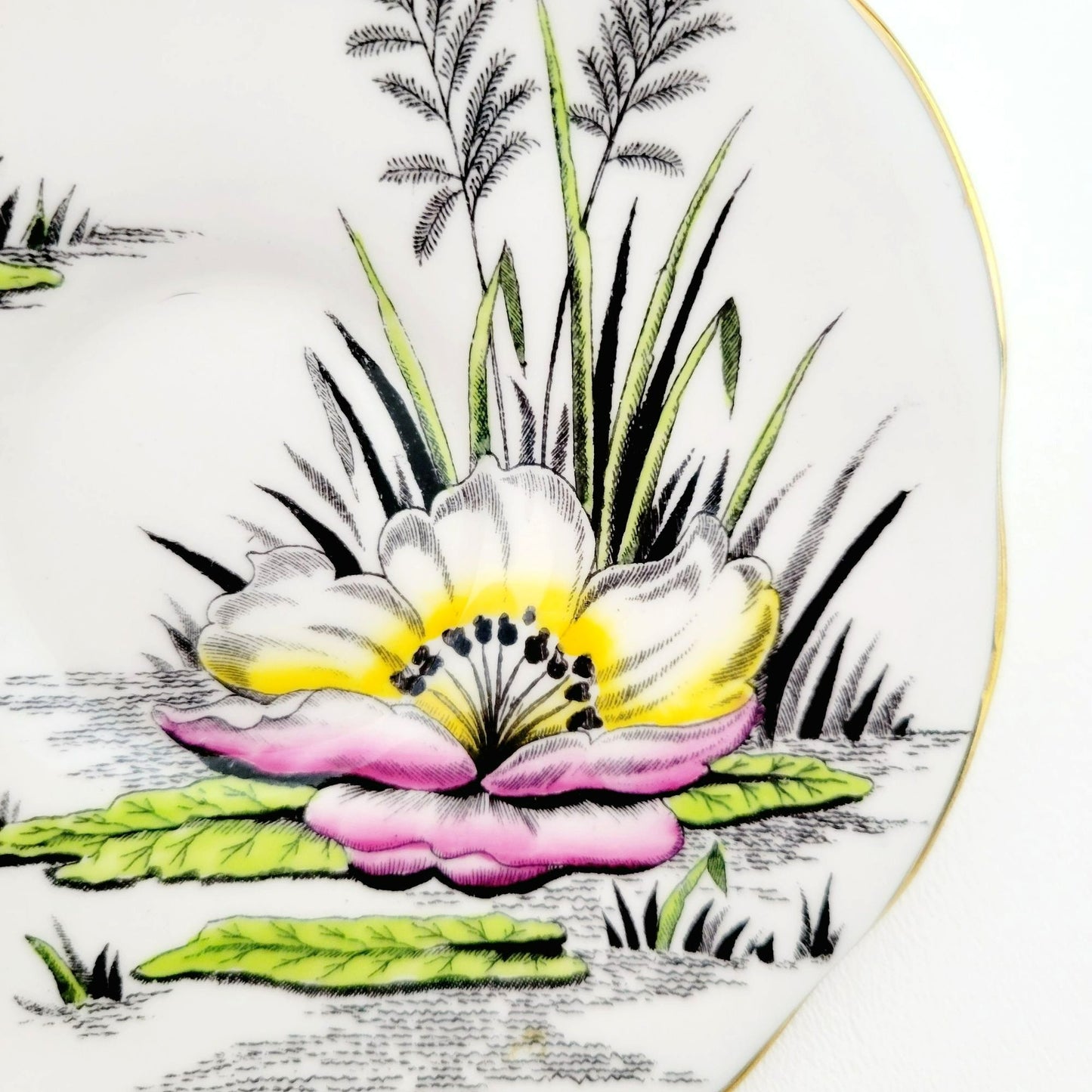 Rosina Water Lily Teacup & Saucer July Flower of the Month, Made in England