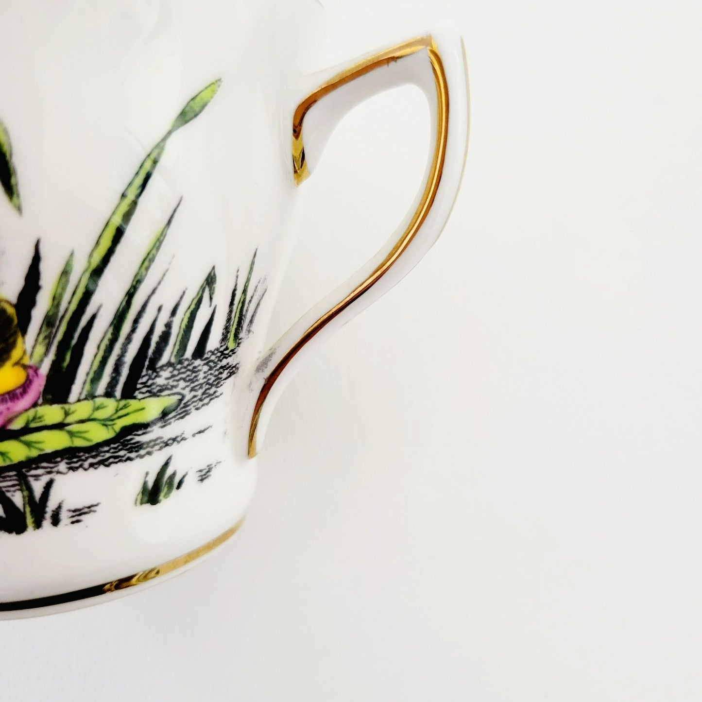 Rosina Water Lily Teacup & Saucer July Flower of the Month, Made in England
