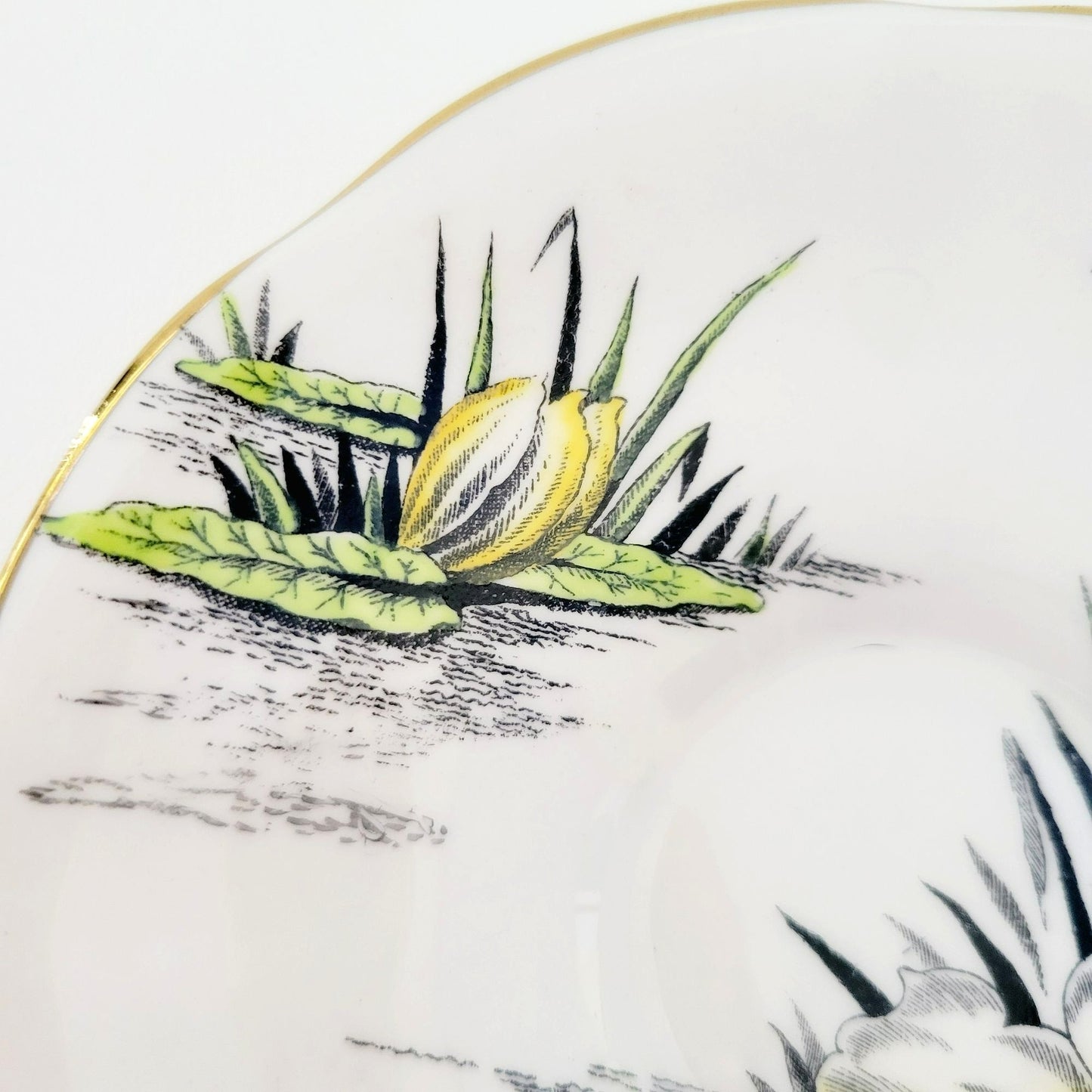 Rosina Water Lily Teacup & Saucer July Flower of the Month, Made in England