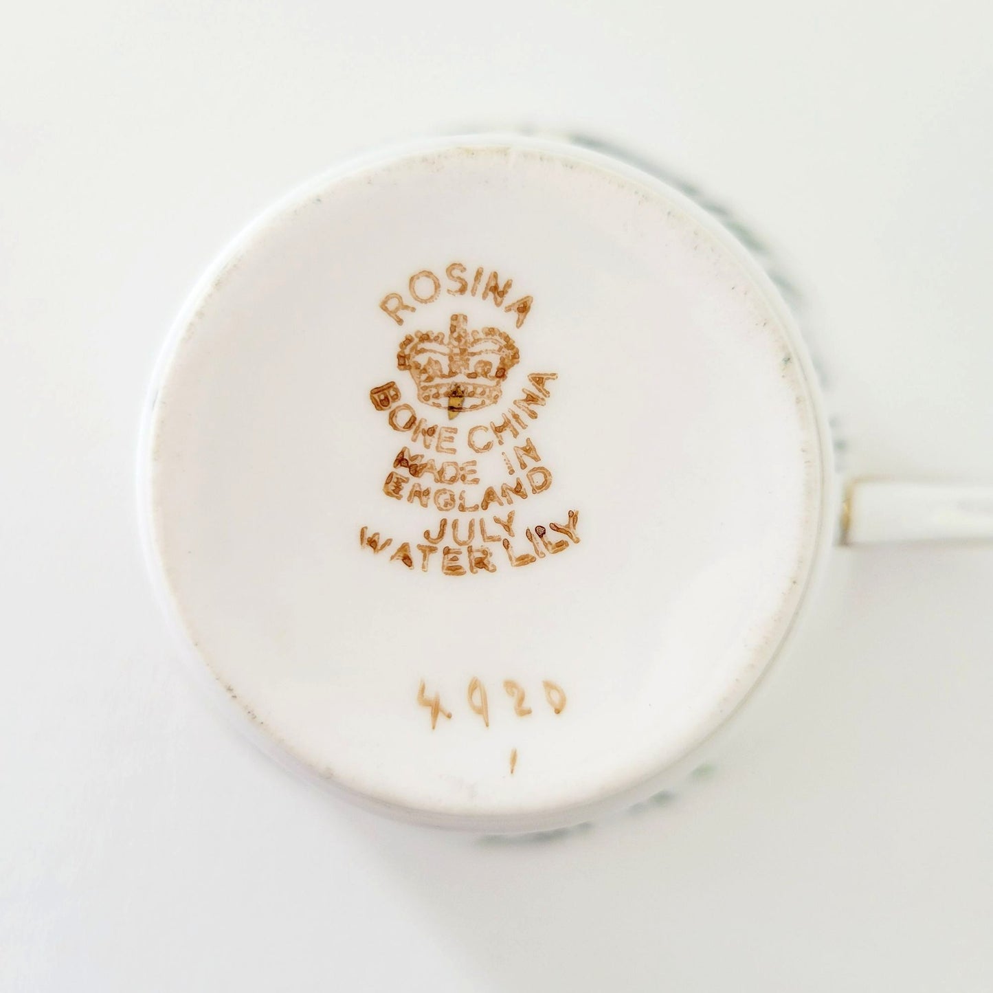 Rosina Water Lily Teacup & Saucer July Flower of the Month, Made in England
