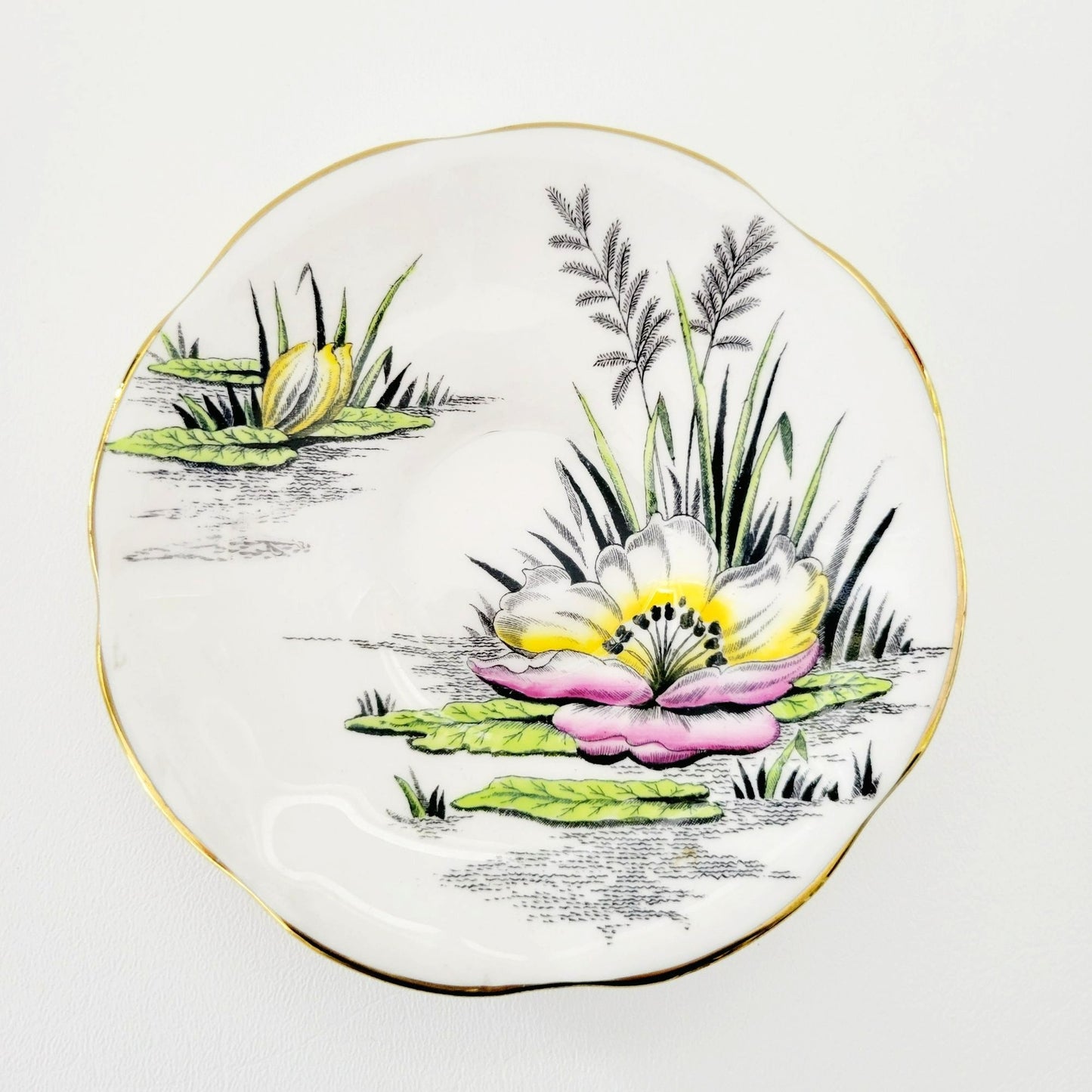 Rosina Water Lily Teacup & Saucer July Flower of the Month, Made in England
