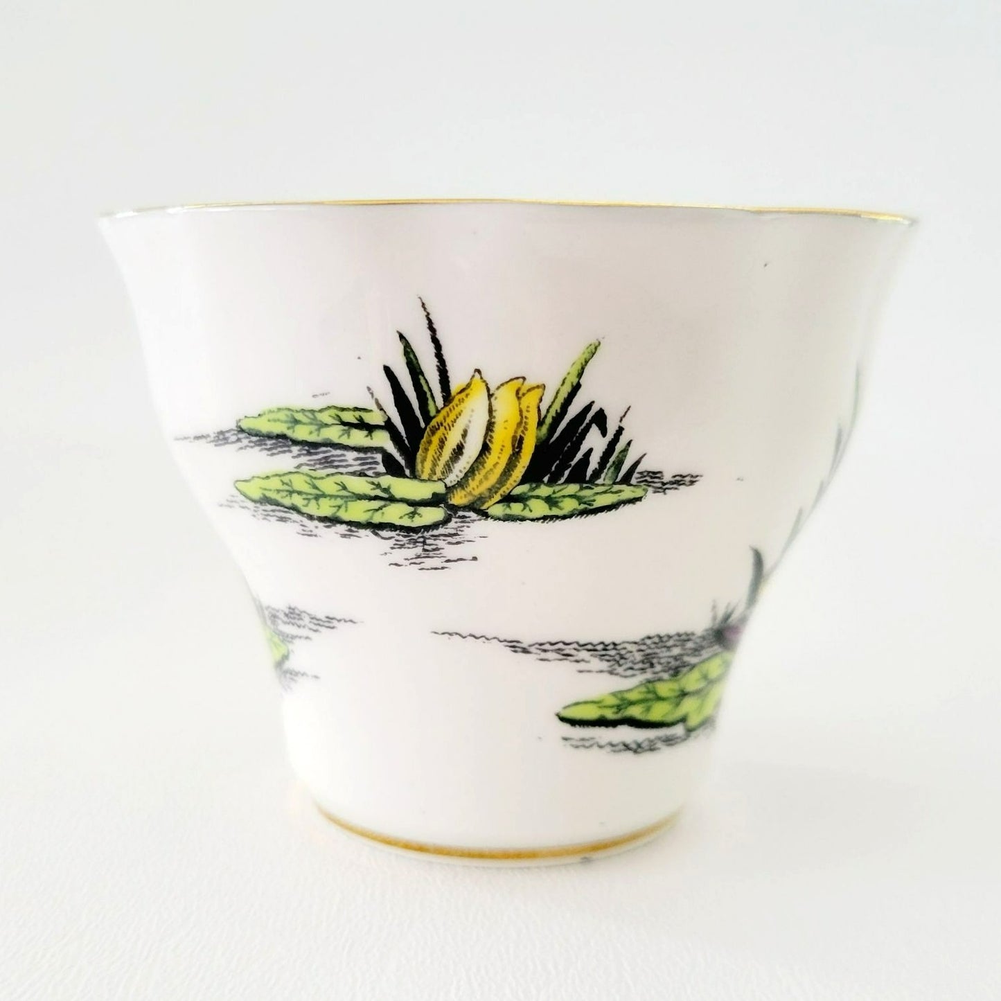 Rosina Water Lily Teacup & Saucer July Flower of the Month, Made in England