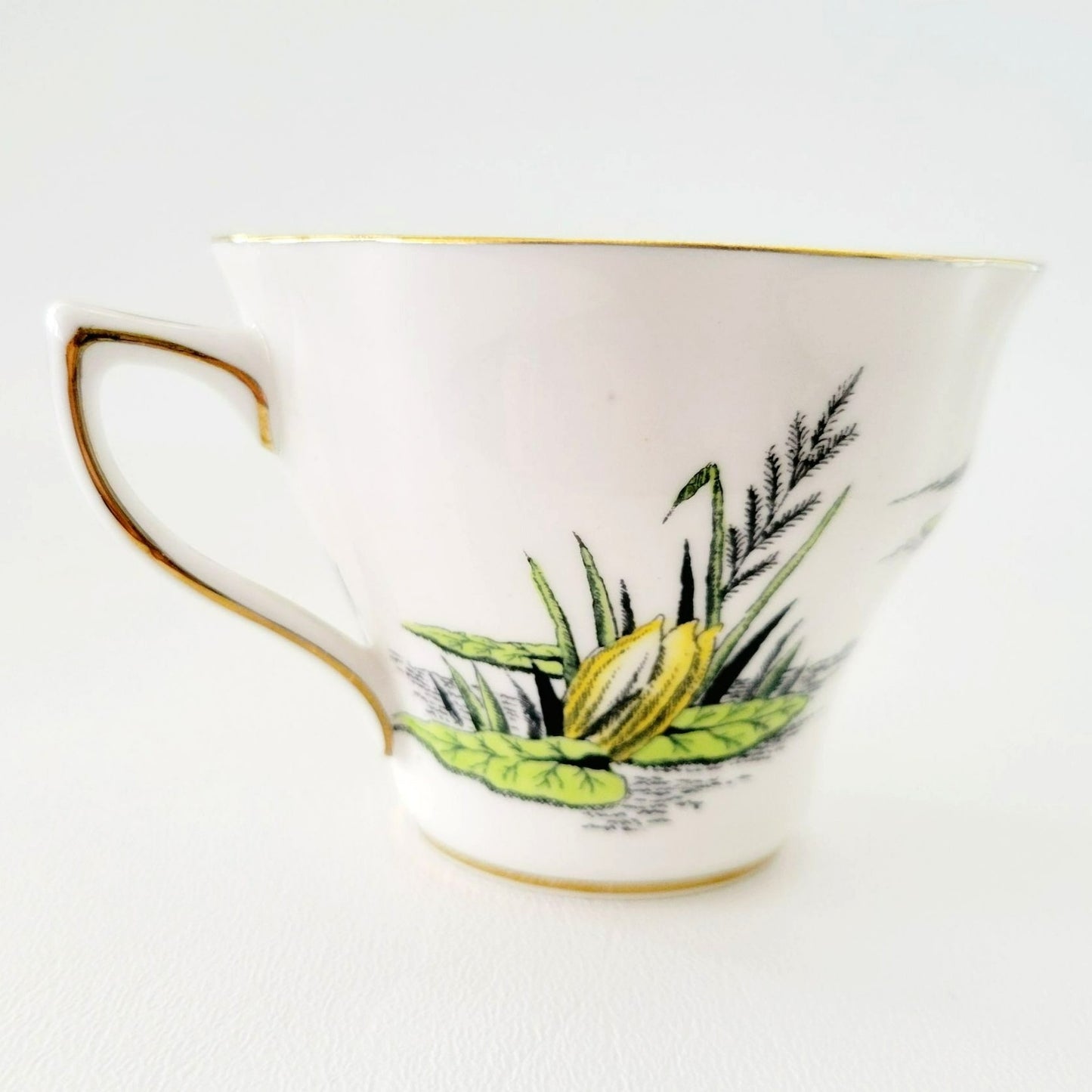 Rosina Water Lily Teacup & Saucer July Flower of the Month, Made in England