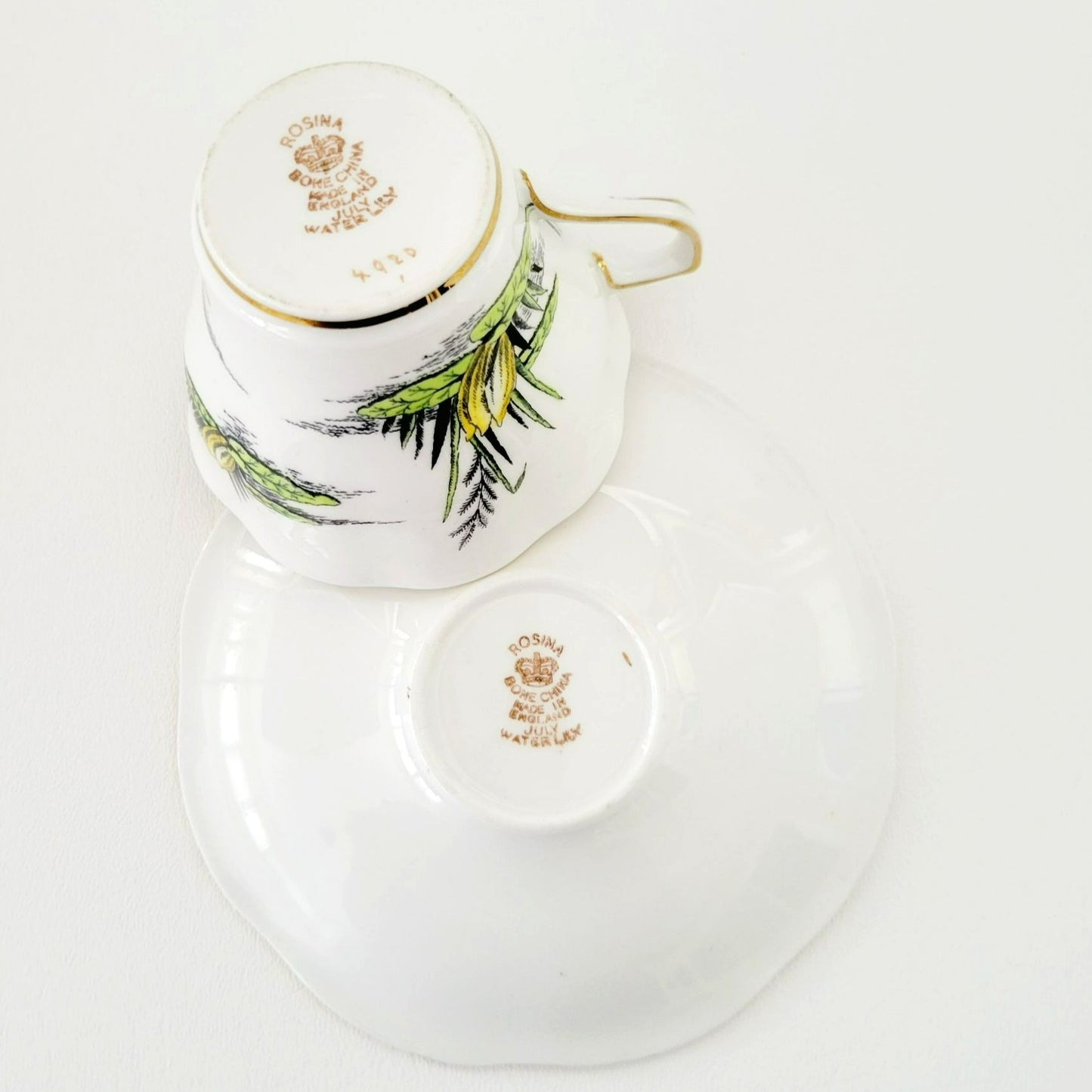 Rosina Water Lily Teacup & Saucer July Flower of the Month, Made in England