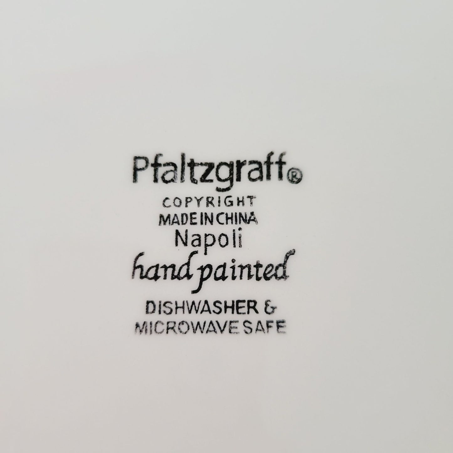 Pfaltzgraff Napoli Stoneware Dinner Plate