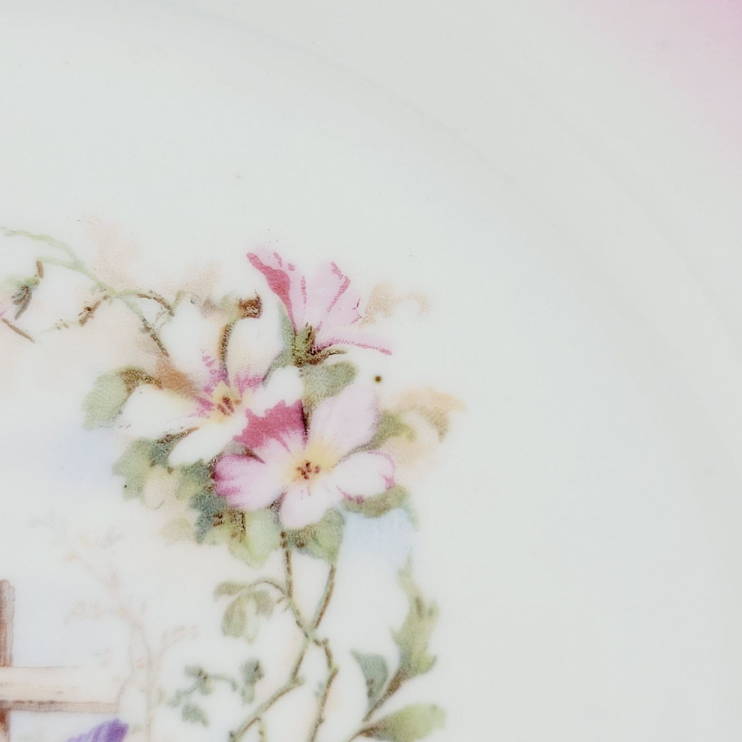 Drinking Cherub & Floral Decorative Plate, Pink & White, Embossed Edge Handled Cake Plate