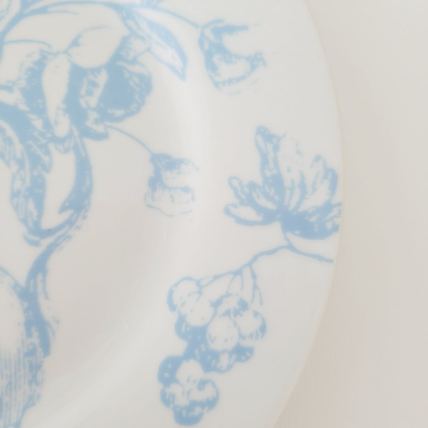 Living Quarters Botanical Salad Plate, Set of 2