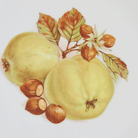 PM Jaeger & Co. Harvest Dinner Plate, Yellow Apple & Nuts, c.1950-60 Bavaria Germany