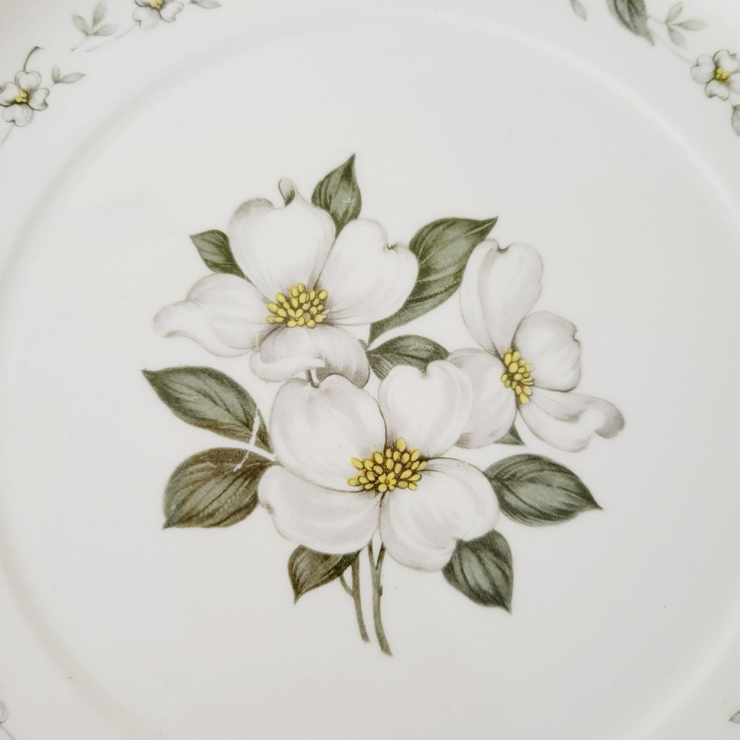 Steubenville Monticello Dogwood Salad Plate c.1940s USA Made