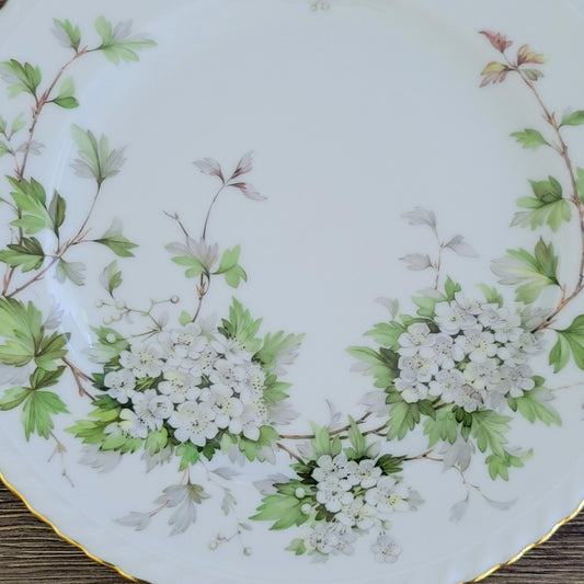 Franconia K&A Krautheim Hawthorn Dinner Plate, Gadroon Border, c.1964-75 Germany