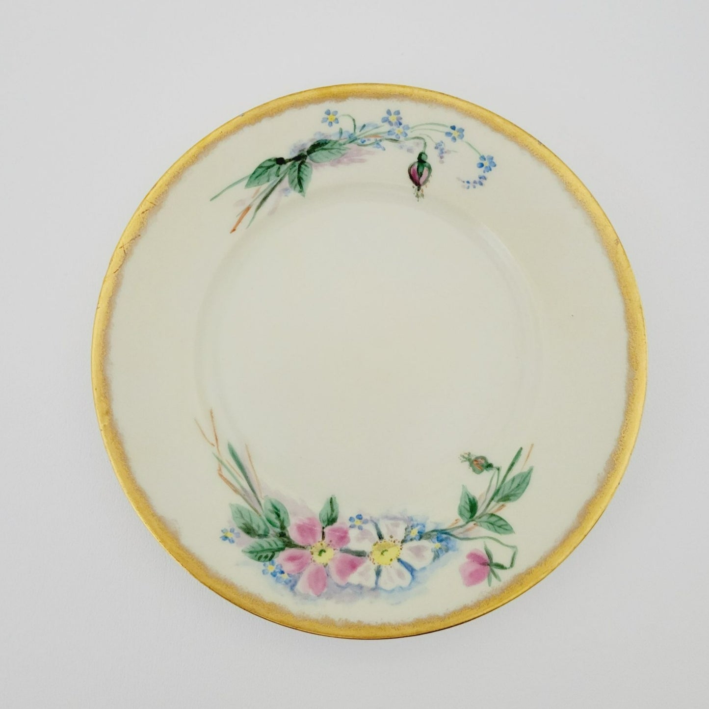 Antique Johann Haviland Waldershof Appetizer Plate, RARE, c.1907-24 Germany
