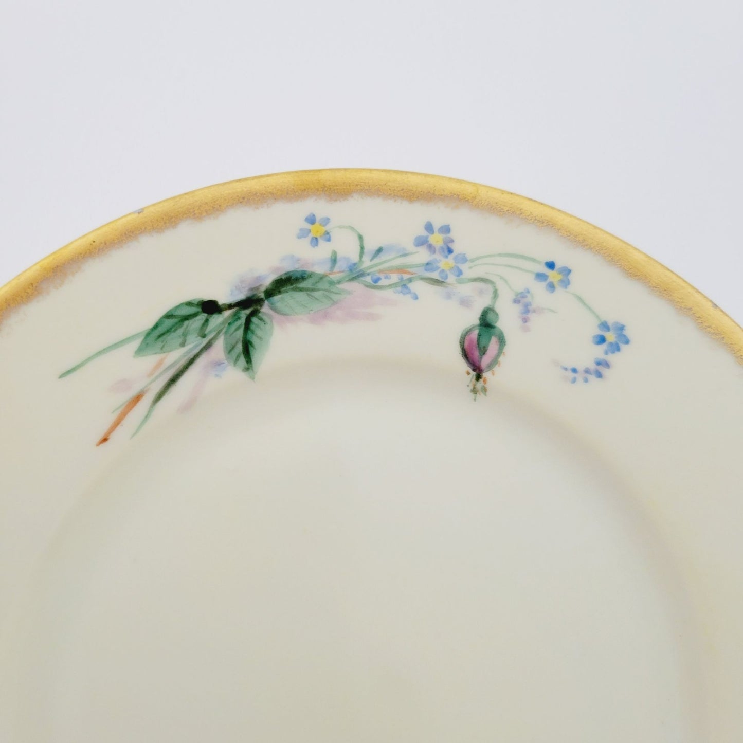 Antique Johann Haviland Waldershof Appetizer Plate, RARE, c.1907-24 Germany