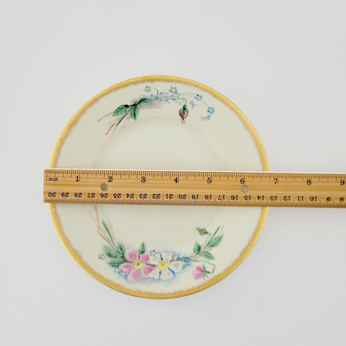 Antique Johann Haviland Waldershof Appetizer Plate, RARE, c.1907-24 Germany