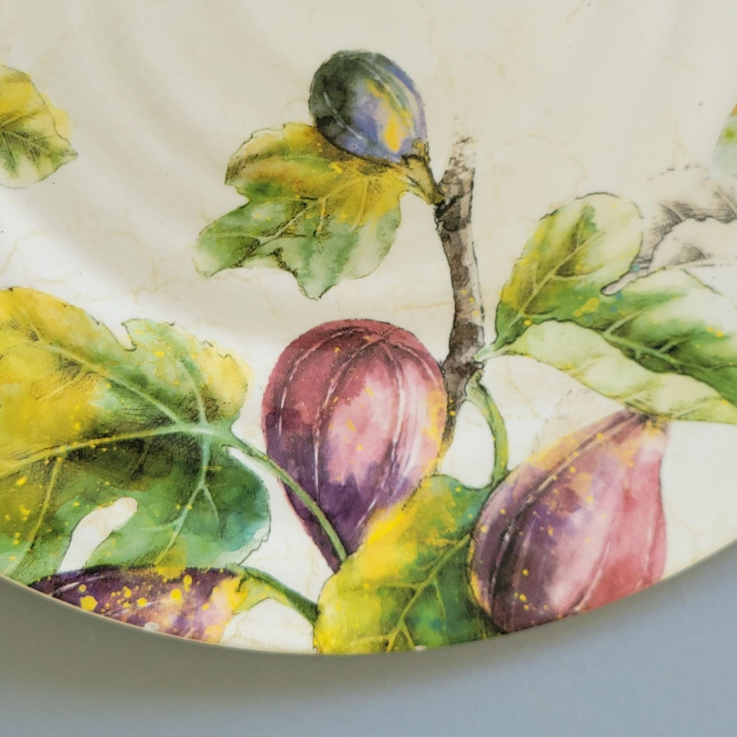 Pier 1 Verona Autumn Fruits Dinner Plate