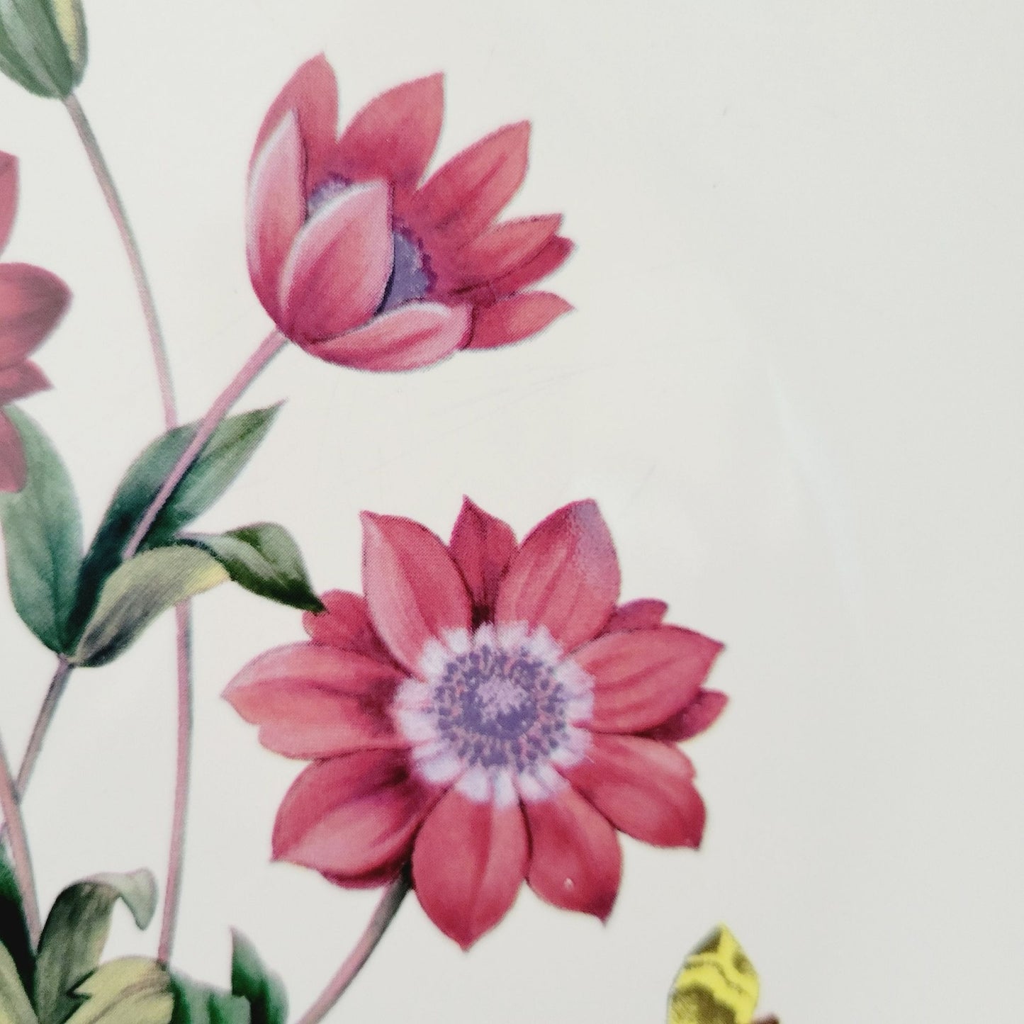 Studio Nova Garden Bloom 12" Round Platter