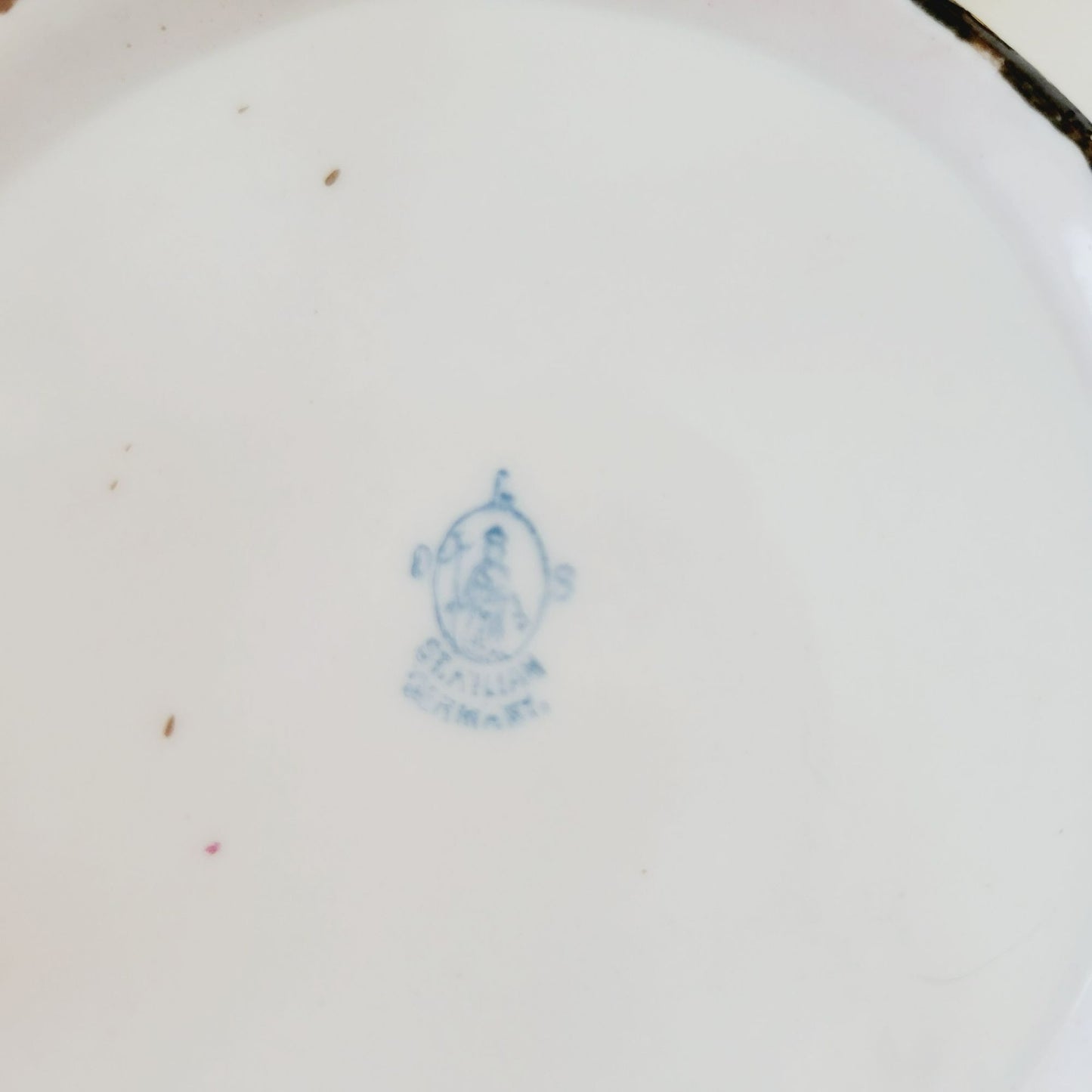 Rare Antique German Hand Painted Floral Creamer & Sugar Bowl, c.1904-1914 Oscar Schlegelmilch