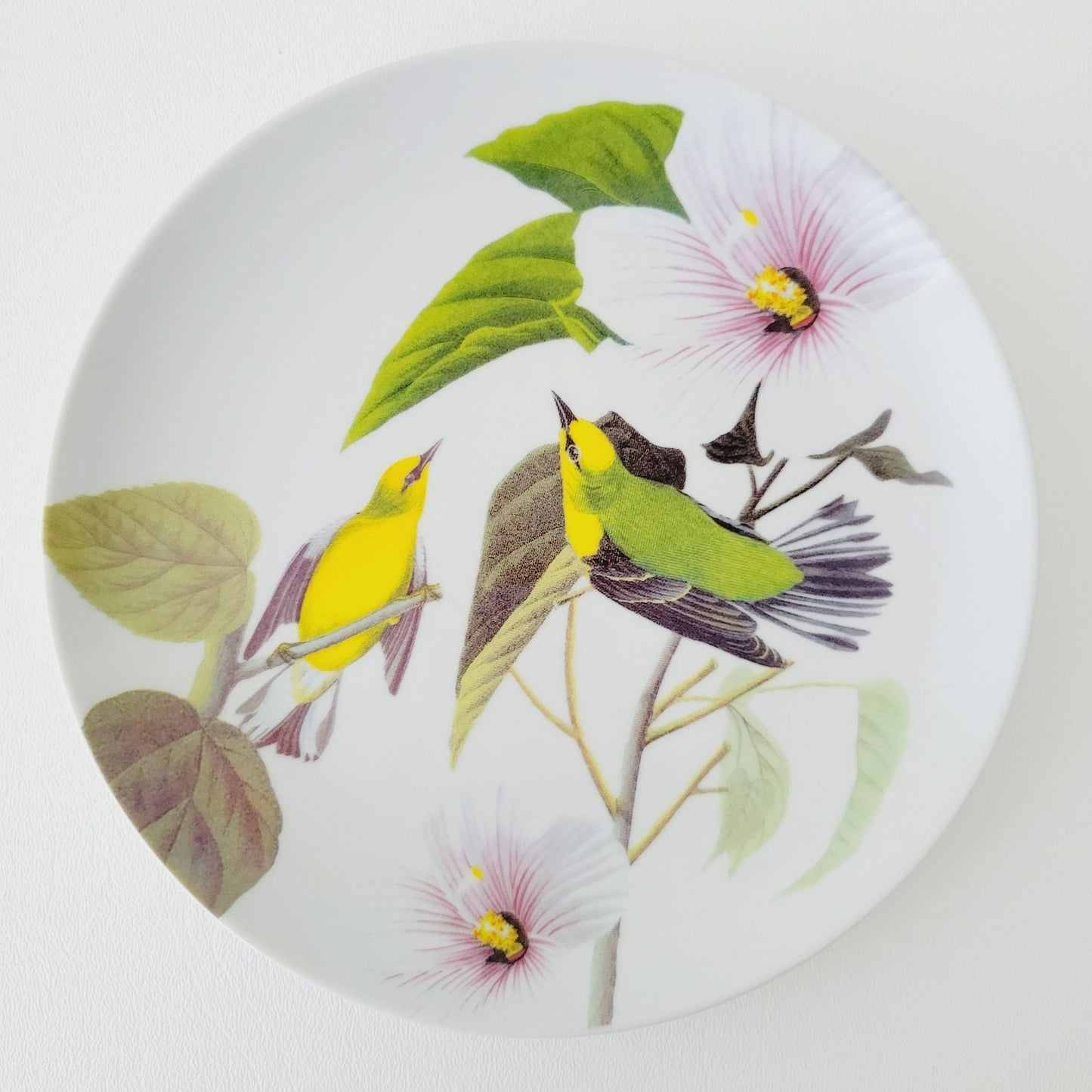 Godinger Audubon Watercolor Bird Salad Plate, Set of 3
