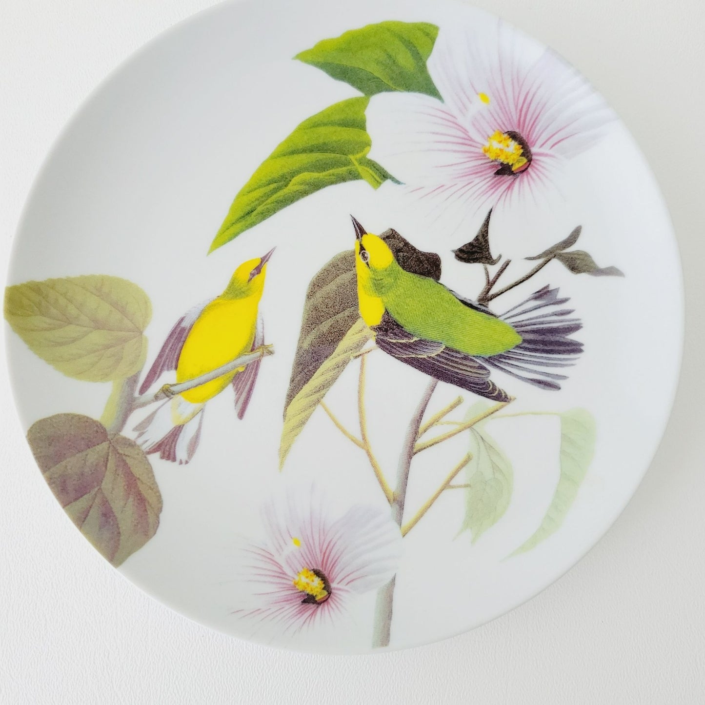 Godinger Audubon Watercolor Bird Salad Plate, Set of 3