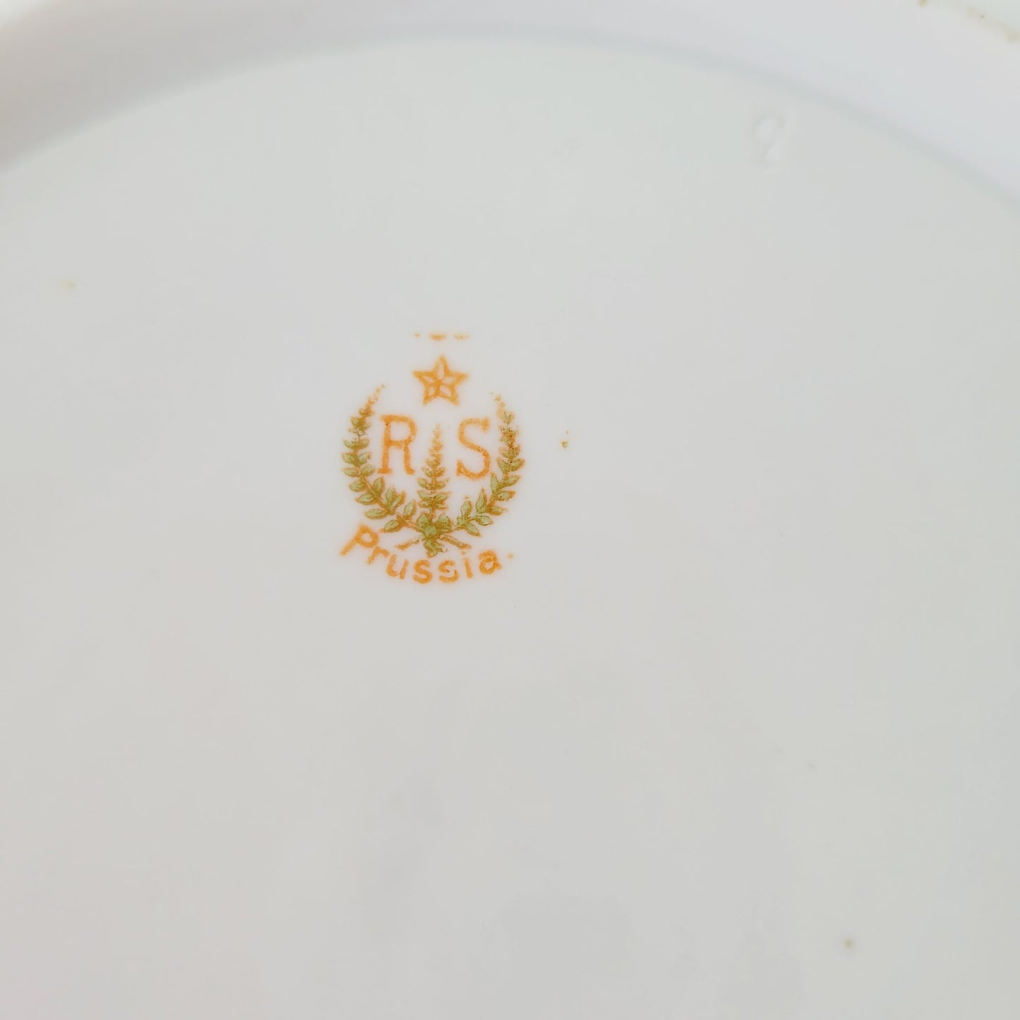 Antique RS Prussia Porcelain Floral Bowl c.1870-1918, Teal with Pink & Red Peonies & Gold Grape Accent