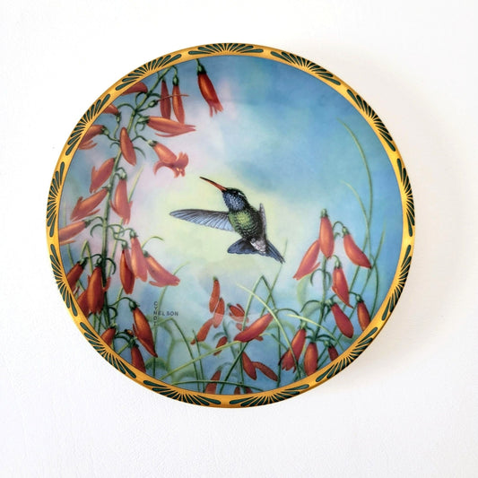 Vintage Hummingbird Small Collectors Plate, Pickard Gems of Nature Broad-billed Hummingbird, Cyndi Nelson Beautiful Hummingbirds Series c.1990s