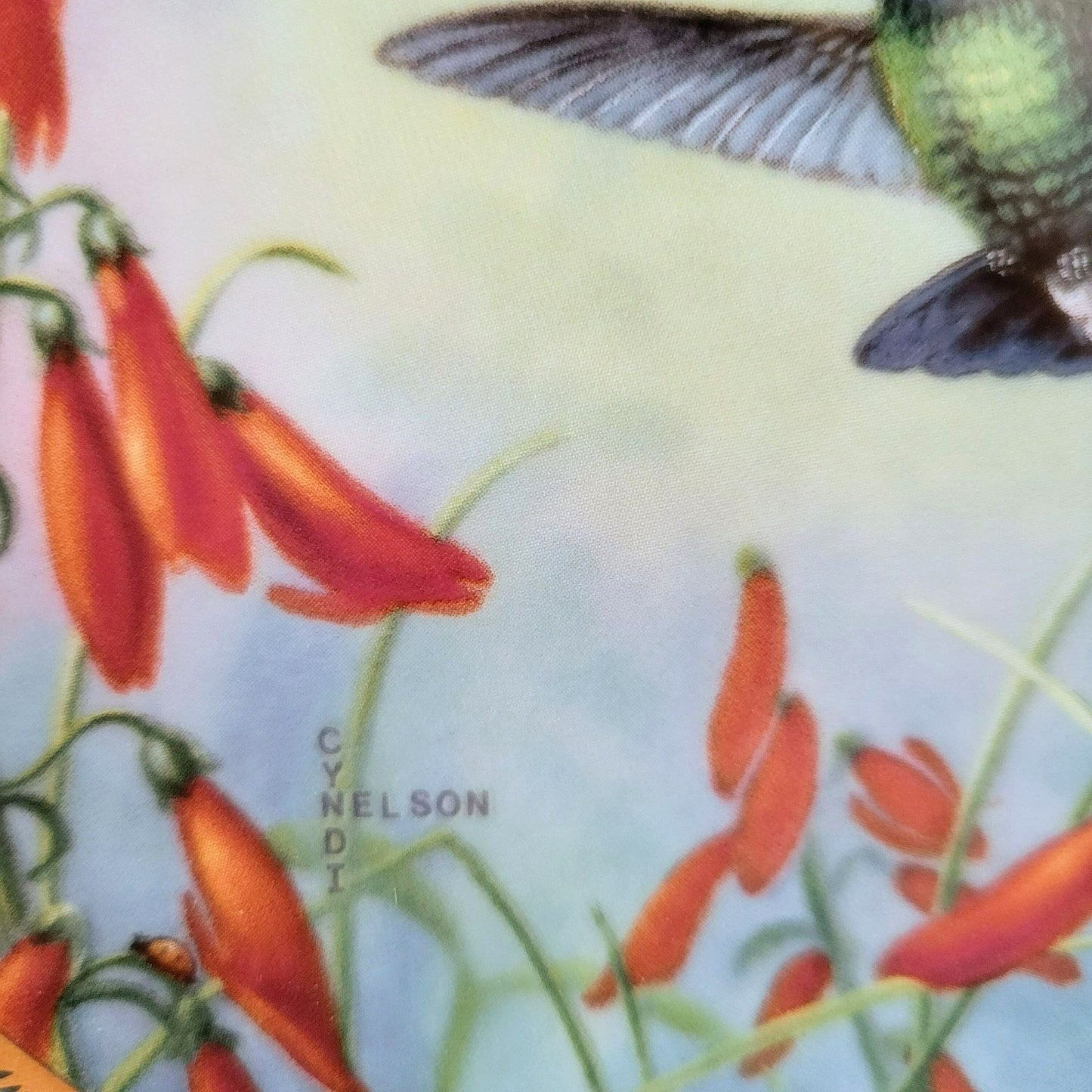 Vintage Hummingbird Small Collectors Plate, Pickard Gems of Nature Broad-billed Hummingbird, Cyndi Nelson Beautiful Hummingbirds Series c.1990s