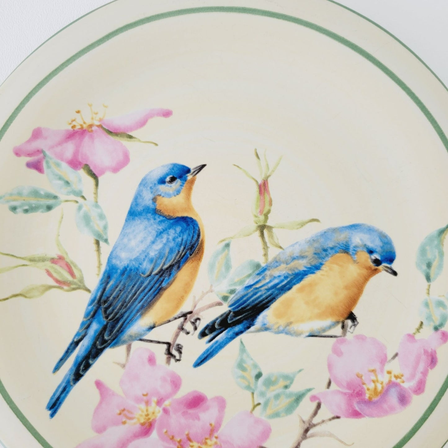 Lenox Summer Greetings Eastern Bluebird Stoneware Salad Plate