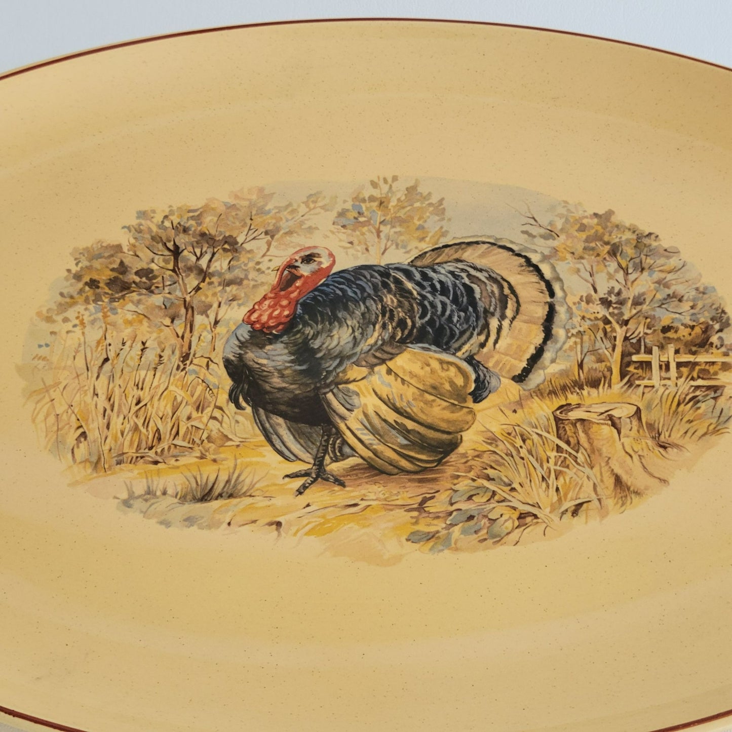 Vintage Hand-Painted Turkey 17" Oval Platter