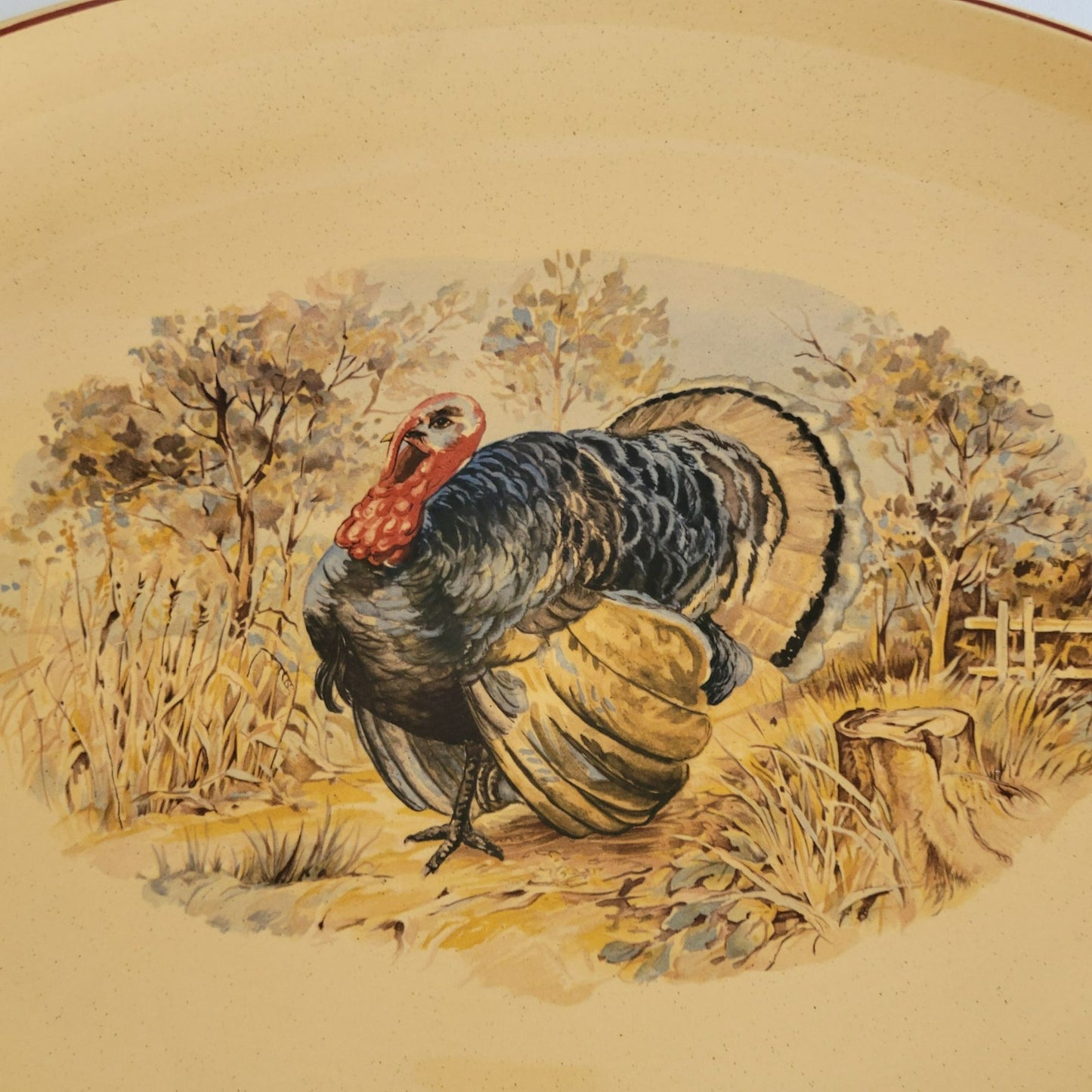 Vintage Hand-Painted Turkey 17" Oval Platter