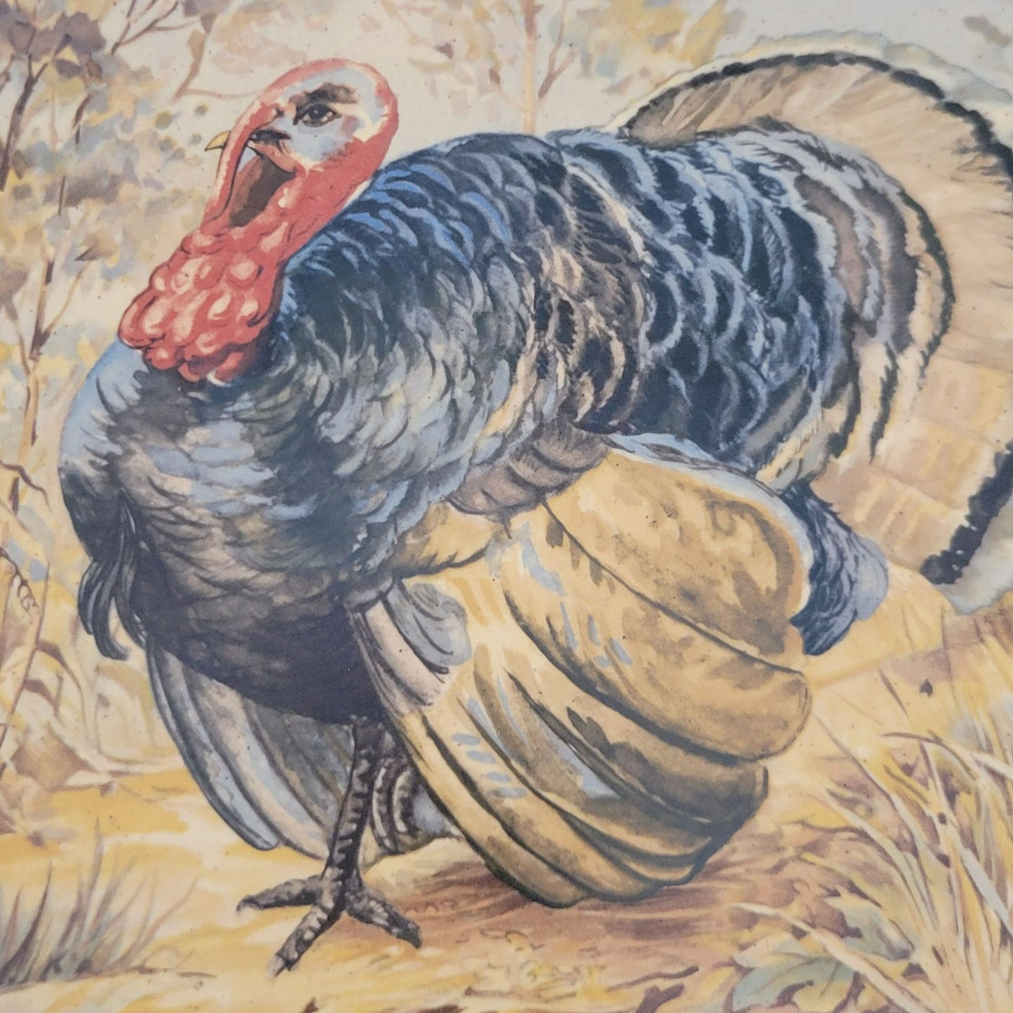 Vintage Hand-Painted Turkey 17" Oval Platter