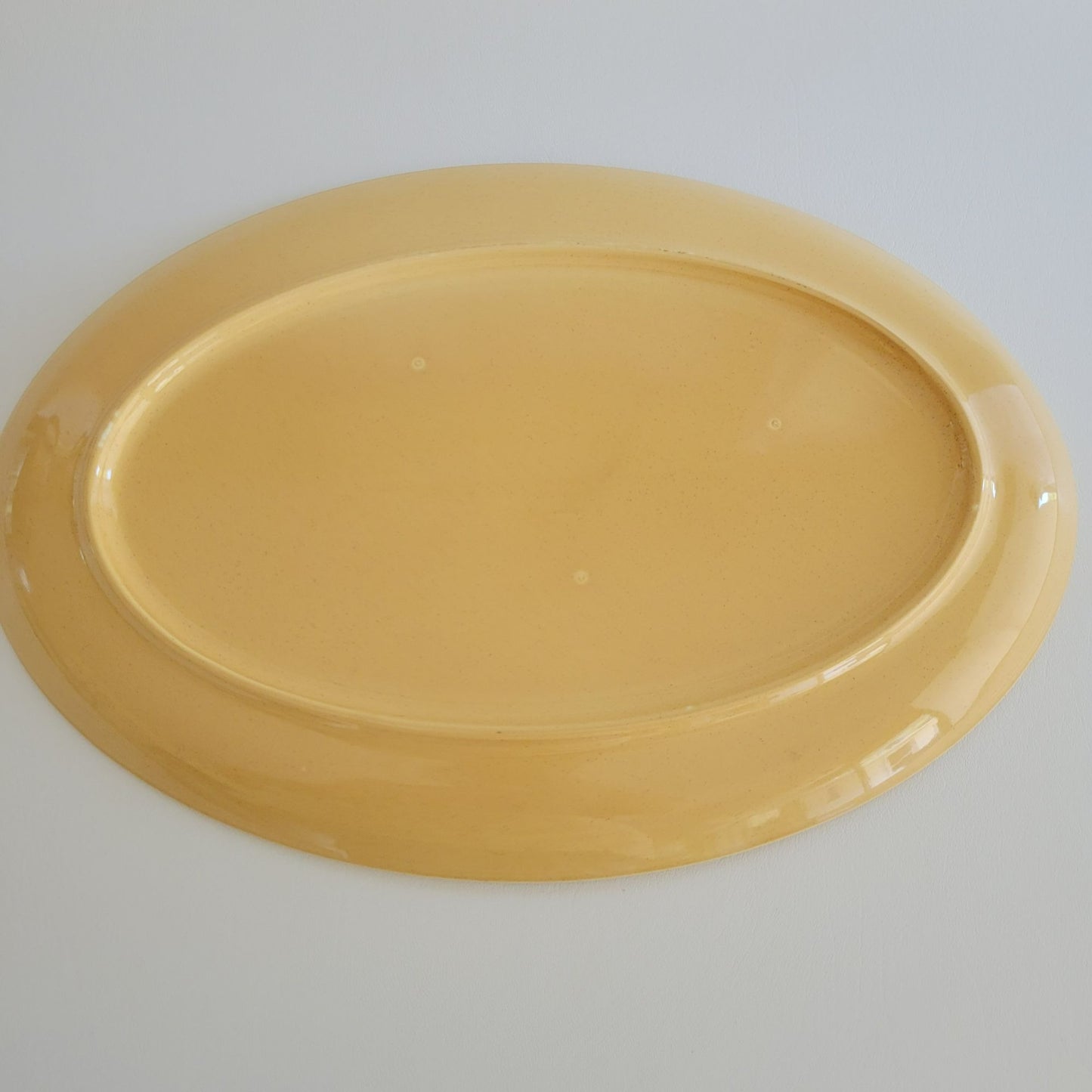 Vintage Hand-Painted Turkey 17" Oval Platter