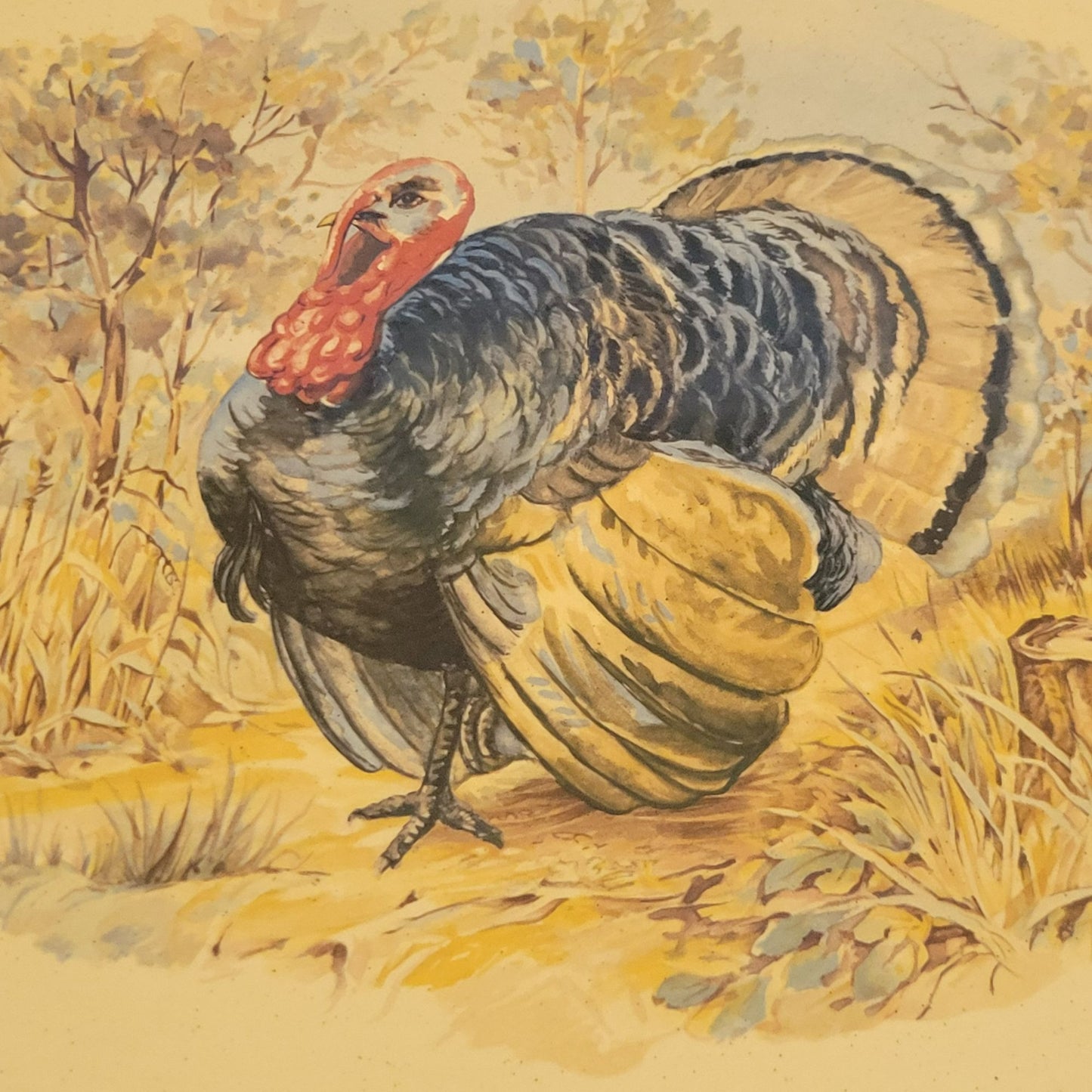 Vintage Hand-Painted Turkey 17" Oval Platter