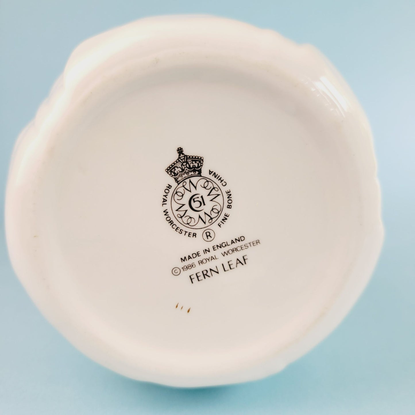 Royal Worcester Fern Leaf Vase, Bone China Made in England, c.1986