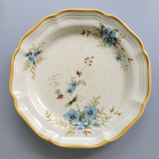 Mikasa Day Dreams Salad Plate, Set of 2, Garden Club Collection