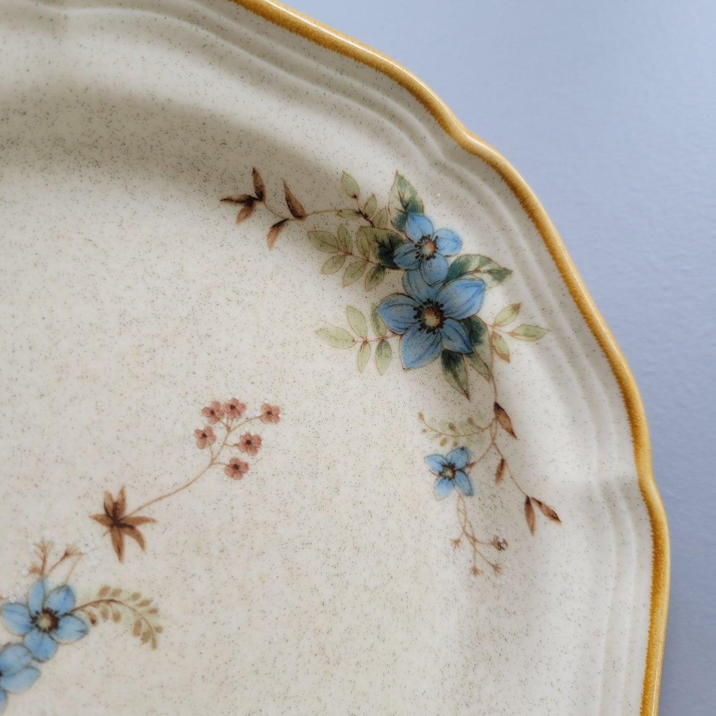 Mikasa Day Dreams Salad Plate, Set of 2, Garden Club Collection