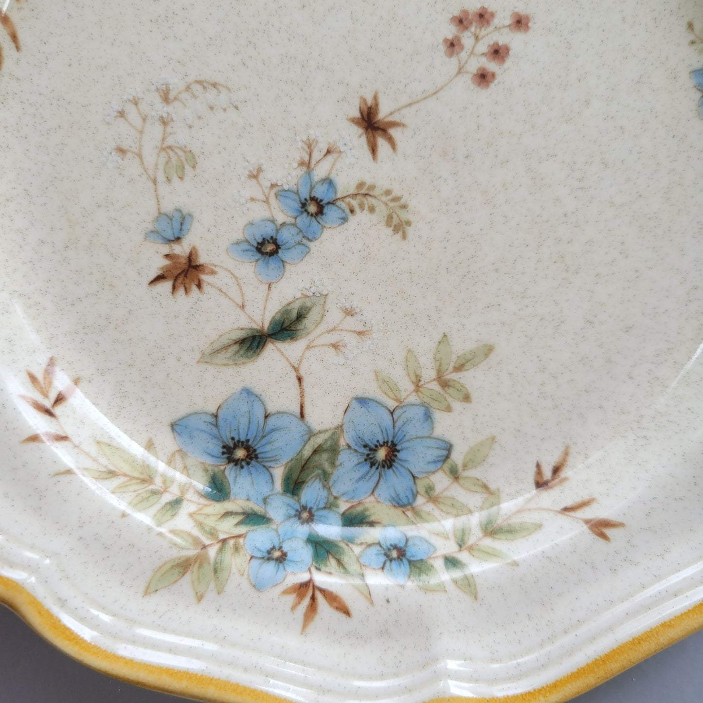 Mikasa Day Dreams Salad Plate, Set of 2, Garden Club Collection