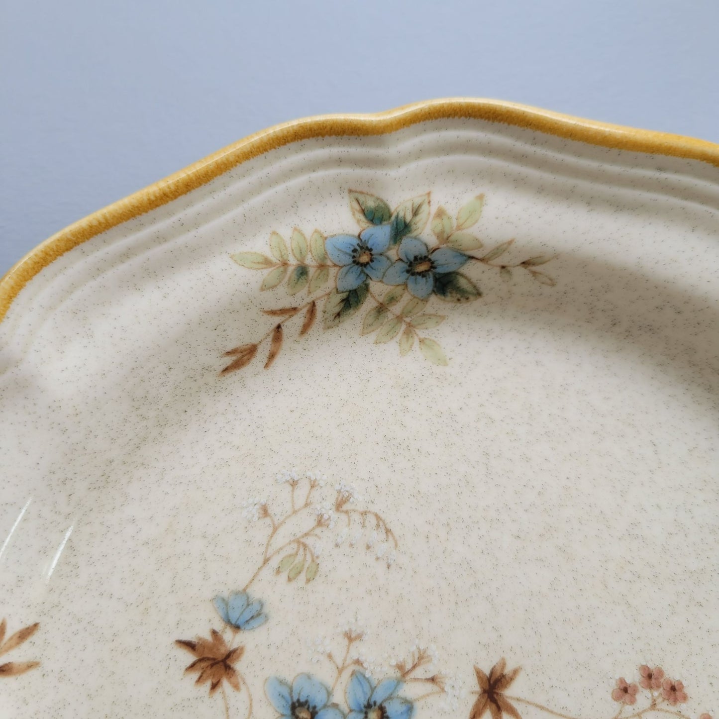 Mikasa Day Dreams Salad Plate, Set of 2, Garden Club Collection