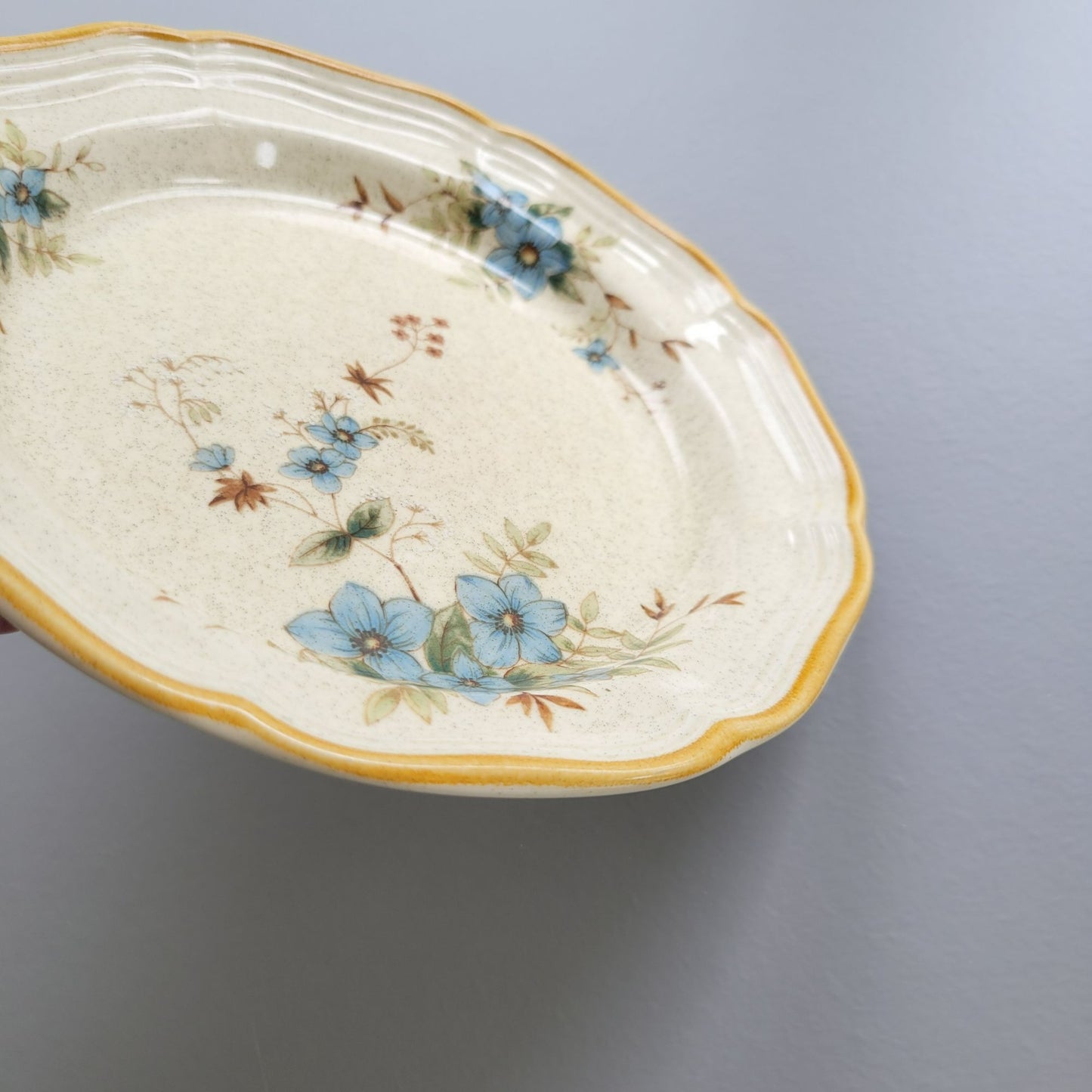 Mikasa Day Dreams Salad Plate, Set of 2, Garden Club Collection